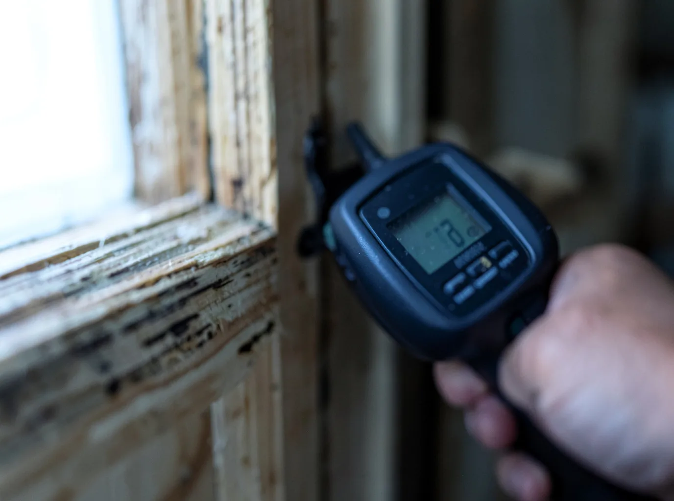 Moisture Inspection And Documentation in Kalaheo, HI